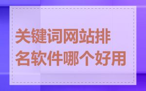 关键词网站排名软件哪个好用