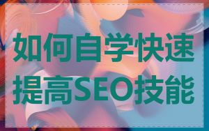 如何自学快速提高SEO技能