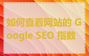 如何查看网站的 Google SEO 指数