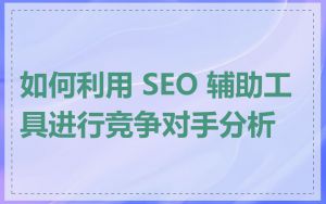 如何利用 SEO 辅助工具进行竞争对手分析