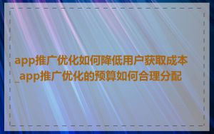 app推广优化如何降低用户获取成本_app推广优化的预算如何合理分配