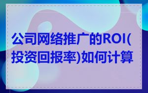 公司网络推广的ROI(投资回报率)如何计算