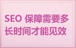 SEO 保障需要多长时间才能见效