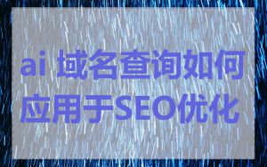 ai 域名查询如何应用于SEO优化