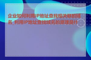 企业如何利用IP地址查找相关联的域名_利用IP地址查找域名的原理是什么