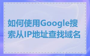 如何使用Google搜索从IP地址查找域名