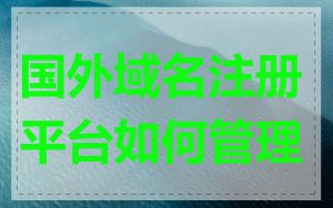 国外域名注册平台如何管理