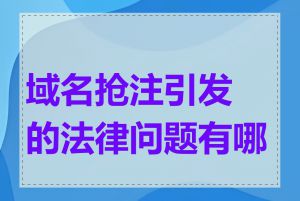 域名抢注引发的法律问题有哪些