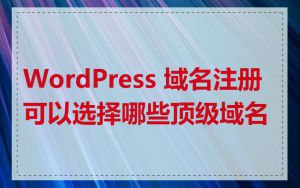 WordPress 域名注册可以选择哪些顶级域名