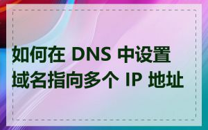如何在 DNS 中设置域名指向多个 IP 地址