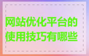 网站优化平台的使用技巧有哪些
