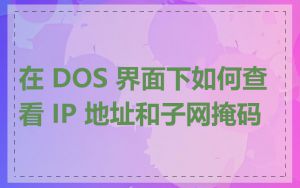在 DOS 界面下如何查看 IP 地址和子网掩码