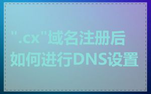".cx"域名注册后如何进行DNS设置