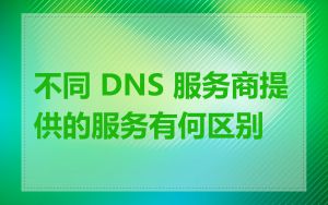 不同 DNS 服务商提供的服务有何区别