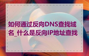 如何通过反向DNS查找域名_什么是反向IP地址查找