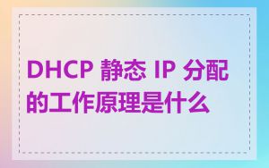 DHCP 静态 IP 分配的工作原理是什么