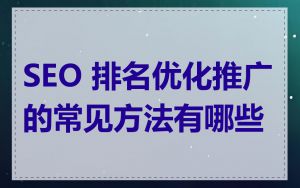 SEO 排名优化推广的常见方法有哪些