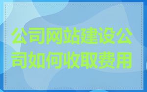 公司网站建设公司如何收取费用