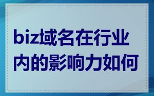biz域名在行业内的影响力如何