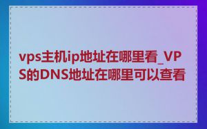 vps主机ip地址在哪里看_VPS的DNS地址在哪里可以查看