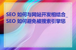 SEO 如何与网站开发相结合_SEO 如何避免被搜索引擎惩罚