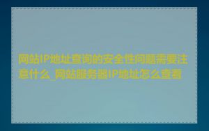 网站IP地址查询的安全性问题需要注意什么_网站服务器IP地址怎么查看