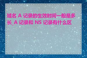 域名 A 记录的生效时间一般是多长_A 记录和 NS 记录有什么区别