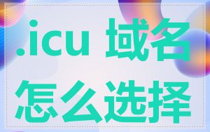 .icu 域名怎么选择