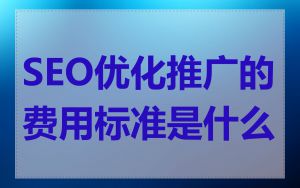 SEO优化推广的费用标准是什么