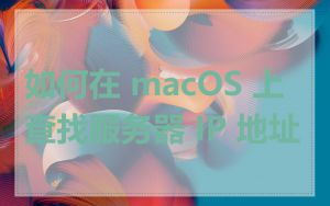 如何在 macOS 上查找服务器 IP 地址