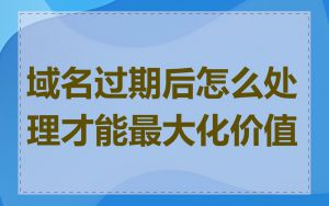 域名过期后怎么处理才能最大化价值
