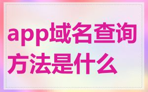 app域名查询方法是什么