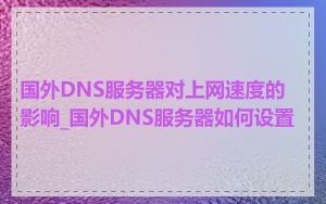 国外DNS服务器对上网速度的影响_国外DNS服务器如何设置