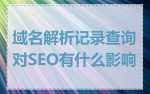 域名解析记录查询对SEO有什么影响