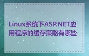 Linux系统下ASP.NET应用程序的缓存策略有哪些