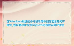 在Windows系统的命令提示符中如何显示外网IP地址_如何通过命令提示符(cmd)查看公网IP地址
