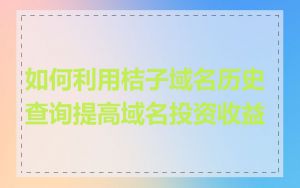 如何利用桔子域名历史查询提高域名投资收益
