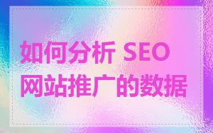 如何分析 SEO 网站推广的数据