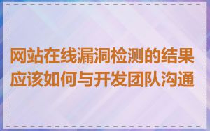 网站在线漏洞检测的结果应该如何与开发团队沟通