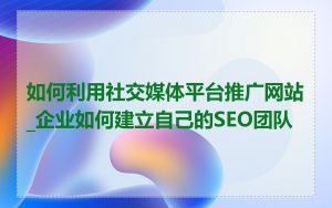 如何利用社交媒体平台推广网站_企业如何建立自己的SEO团队