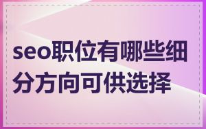 seo职位有哪些细分方向可供选择