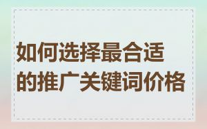 如何选择最合适的推广关键词价格