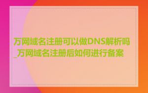 万网域名注册可以做DNS解析吗_万网域名注册后如何进行备案