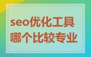 seo优化工具哪个比较专业