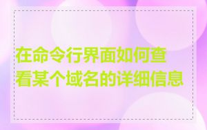 在命令行界面如何查看某个域名的详细信息