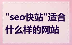 "seo快站"适合什么样的网站