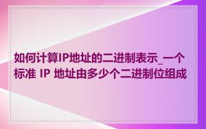 如何计算IP地址的二进制表示_一个标准 IP 地址由多少个二进制位组成