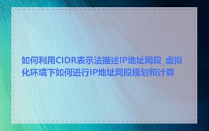 如何利用CIDR表示法描述IP地址网段_虚拟化环境下如何进行IP地址网段规划和计算