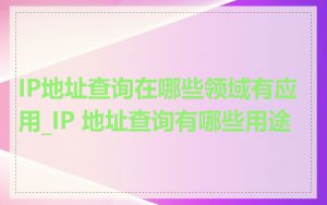 IP地址查询在哪些领域有应用_IP 地址查询有哪些用途