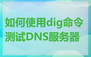 如何使用dig命令测试DNS服务器
